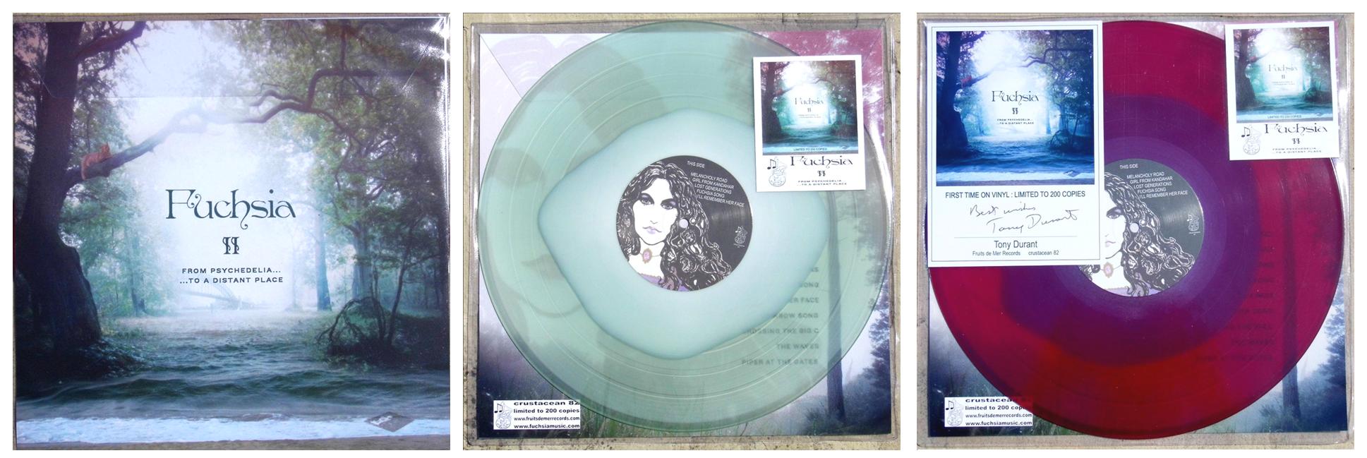 Fuchsia II on vinyl